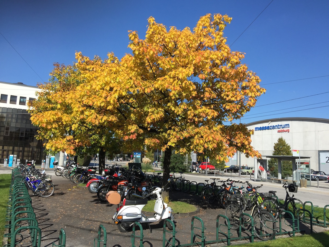 salzburg-padua-03-goldener-oktober